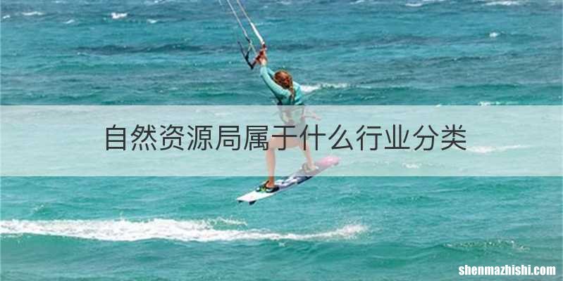 自然资源局属于什么行业分类