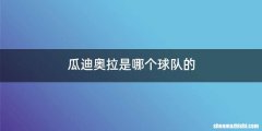 瓜迪奥拉是哪个球队的