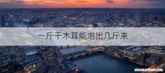 一斤干木耳能泡出几斤来