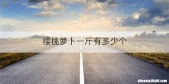樱桃萝卜一斤有多少个