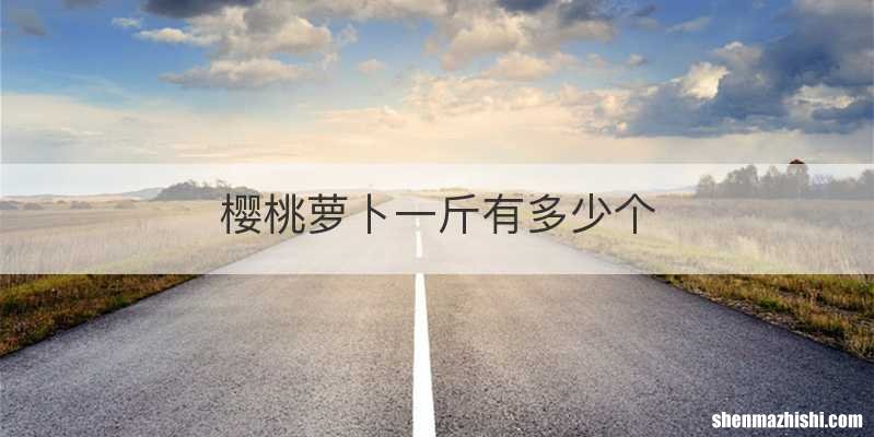 樱桃萝卜一斤有多少个