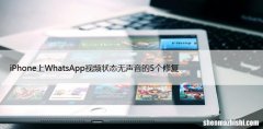 iPhone上WhatsApp视频状态无声音的5个修复