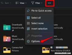 如何修复Windows11上不显示的PDF缩略图？