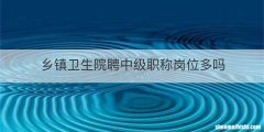 乡镇卫生院聘中级职称岗位多吗