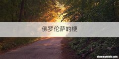佛罗伦萨的梗