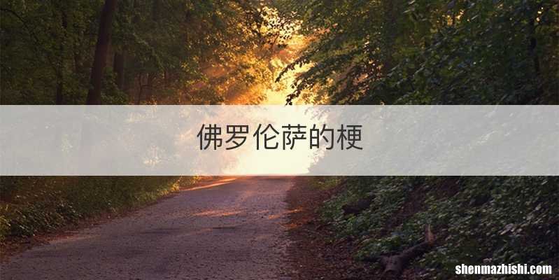 佛罗伦萨的梗