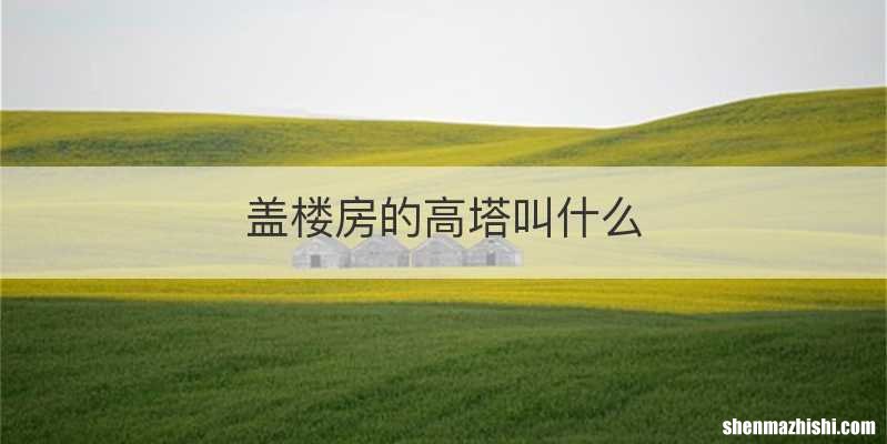 盖楼房的高塔叫什么