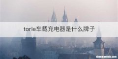 torle车载充电器是什么牌子
