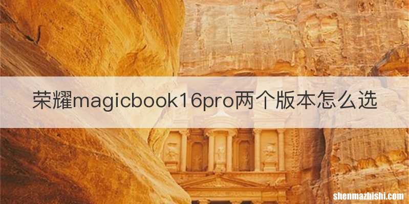 荣耀magicbook16pro两个版本怎么选