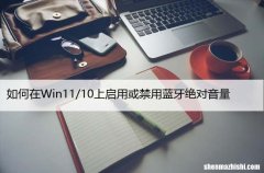 如何在Windows11/10上启用或禁用蓝牙绝对音量