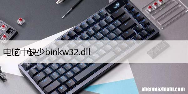 Win11/10中丢失binkw32修复 电脑中缺少binkw32.dll