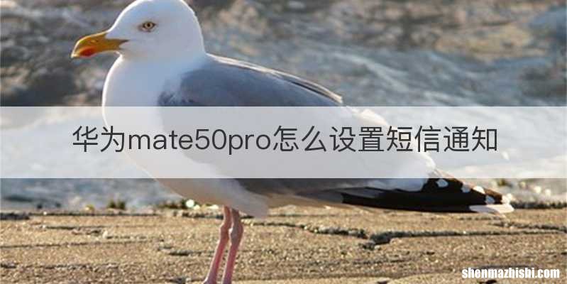 华为mate50pro怎么设置短信通知