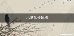 小学队长袖标
