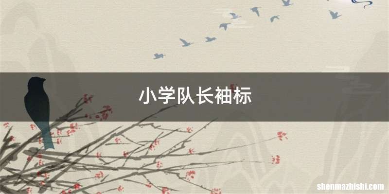 小学队长袖标