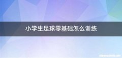 小学生足球零基础怎么训练
