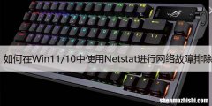 如何在Win11/10中使用Netstat进行网络故障排除
