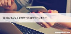 如何在iPhone上更改单个应用程序的文本大小