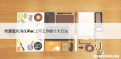 修复麦克风在iPad上不工作的十大方法
