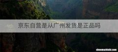 京东自营是从广州发货是正品吗