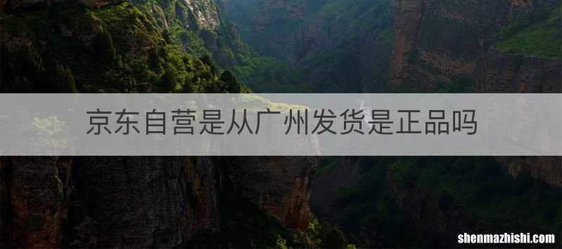 京东自营是从广州发货是正品吗