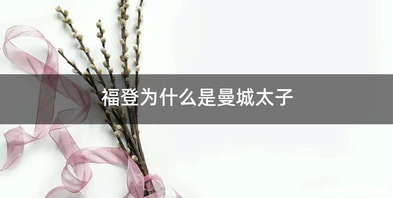 福登为什么是曼城太子