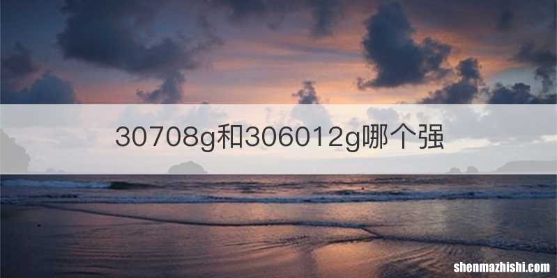 30708g和306012g哪个强