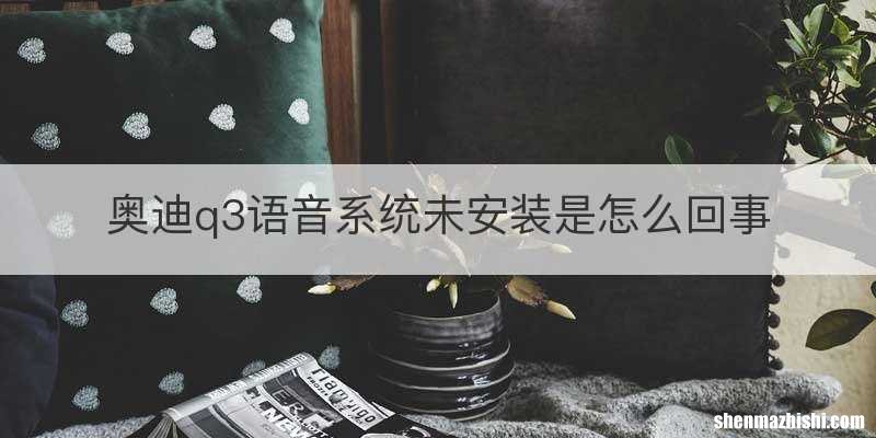 奥迪q3语音系统未安装是怎么回事