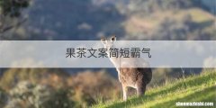 果茶文案简短霸气