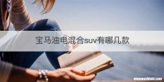 宝马油电混合suv有哪几款