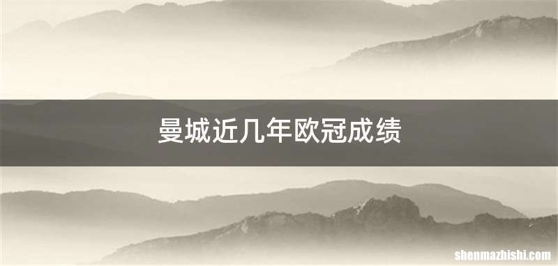 曼城近几年欧冠成绩