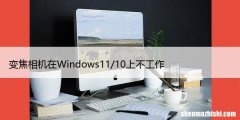 Zoom变焦相机在Windows11/10上不工作，解决方案
