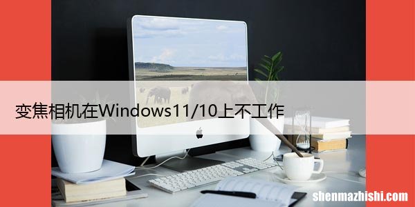 Zoom变焦相机在Windows11/10上不工作，解决方案