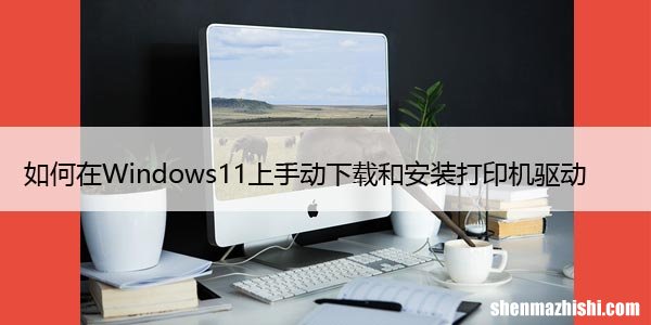 如何在Windows11上手动下载和安装打印机驱动