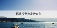 子兰为何劝怀王入秦
