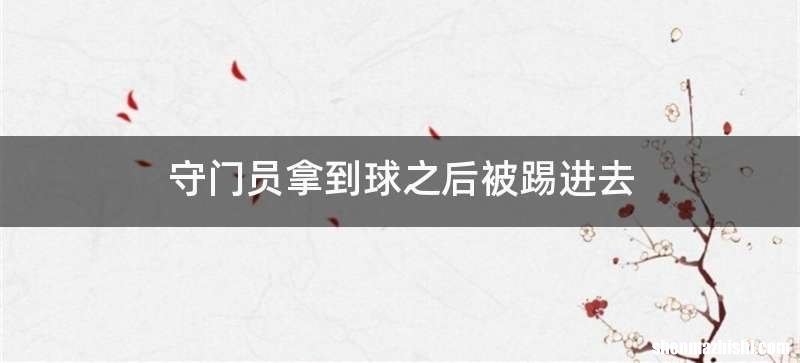 守门员拿到球之后被踢进去