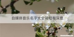 自媒体音乐名字大全简短有深意