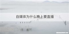 自媒体为什么晚上要直播