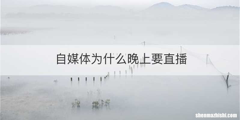 自媒体为什么晚上要直播