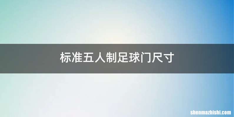标准五人制足球门尺寸