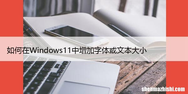 如何在Windows11中增加字体或文本大小
