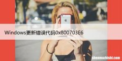 修复：Windows更新错误代码0x800703E6