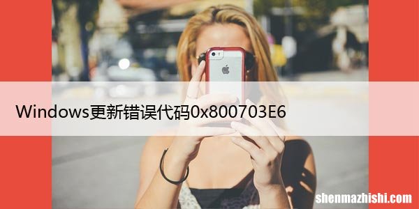 修复：Windows更新错误代码0x800703E6
