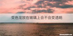 变色龙放在玻璃上会不会变透明