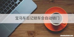宝马车忘记锁车会自动锁门