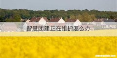 智慧团建正在维护怎么办