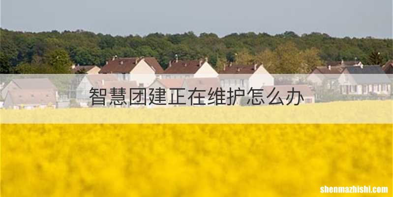 智慧团建正在维护怎么办