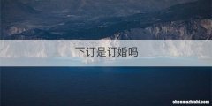 下订是订婚吗