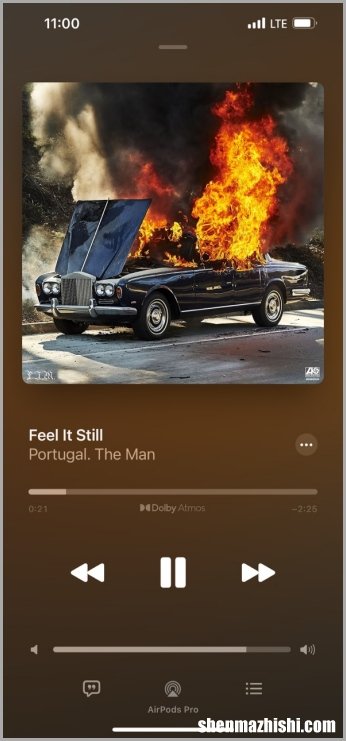下载歌曲未在Apple Music上显示的4种修复方法