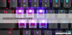 如何禁用Windows10更新自动发生，5种快捷方法教
