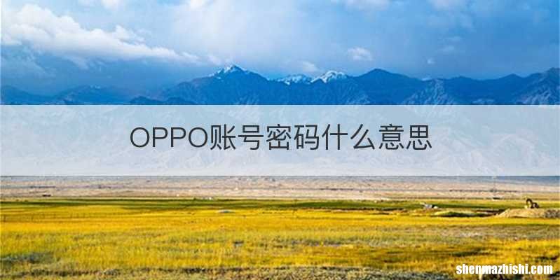 OPPO账号密码什么意思